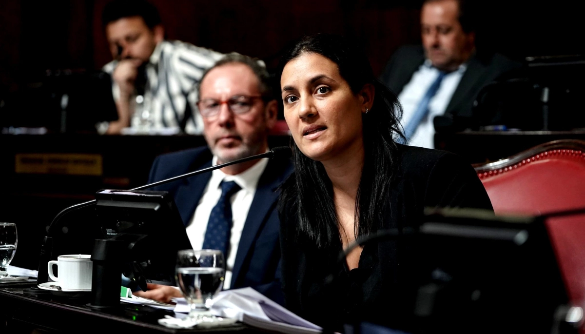 Senadora massista se plantó contra las reelecciones indefinidas y avisó que faltará a la sesión