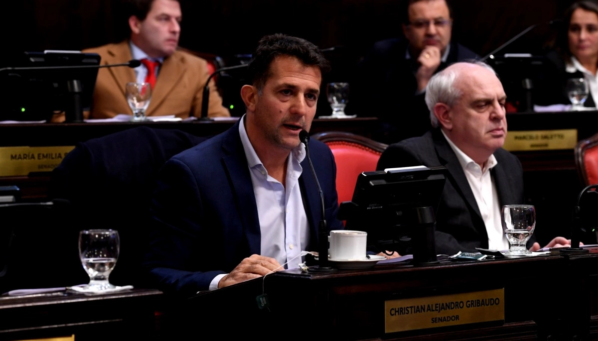 Senadores del PRO condenaron la aprobación de las reelecciones indefinidas: "Es un grave retroceso institucional"