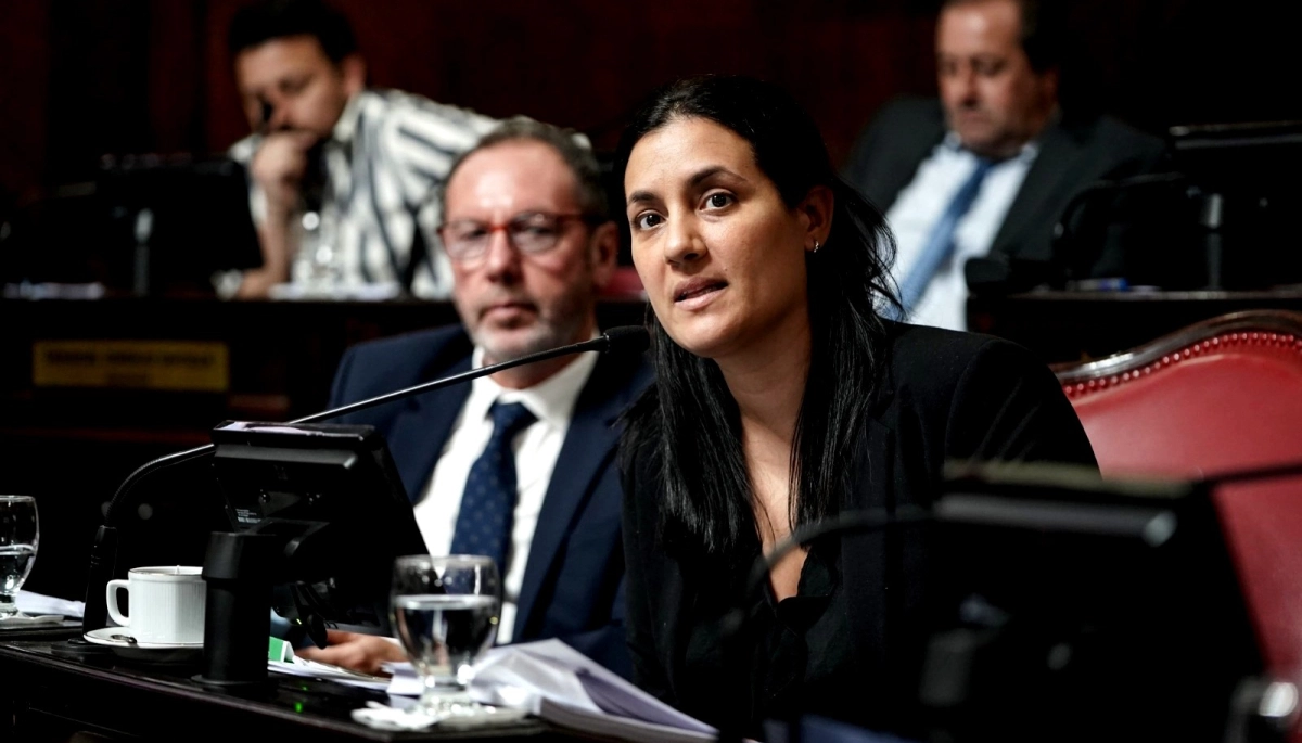 Por qué una senadora massista votó en contra de las reelecciones indefinidas propuestas por el peronismo