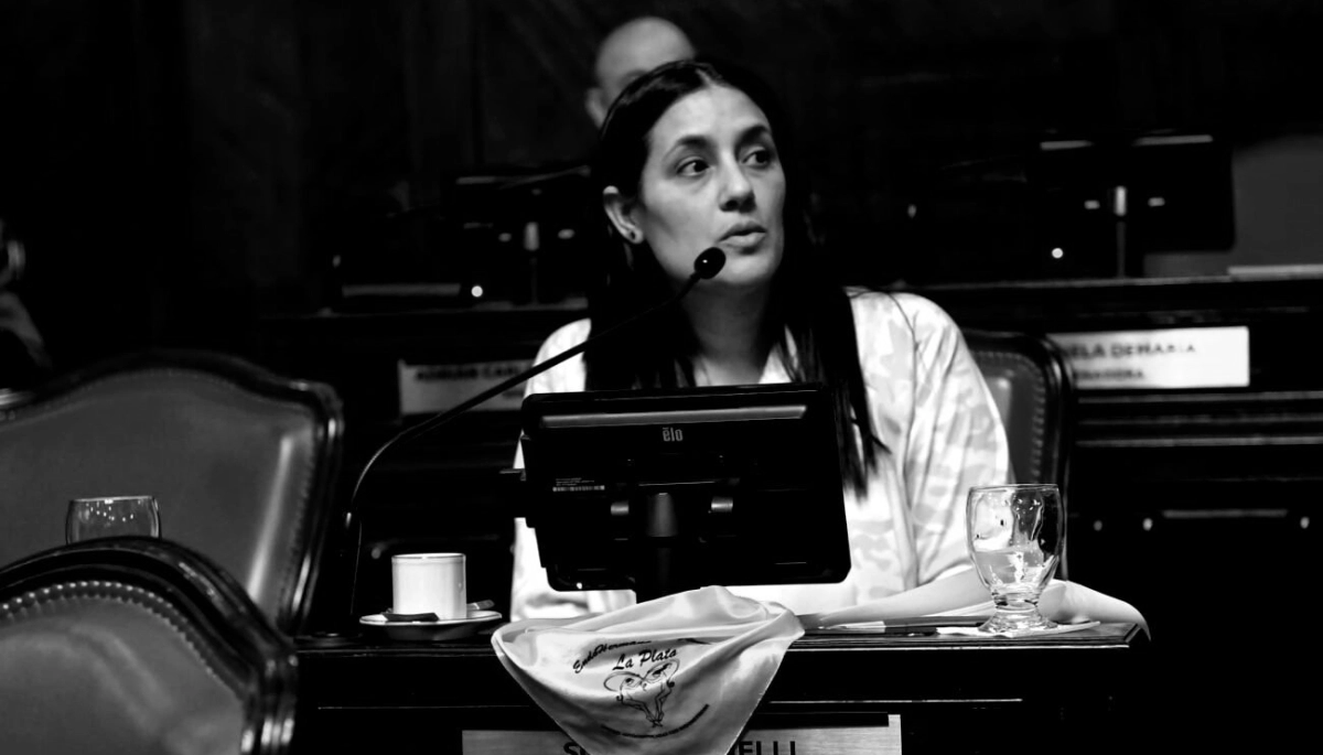 ¿Dio quórum o no dio quórum?: la senadora massista que se opuso a reelecciones ilimitadas y una polémica