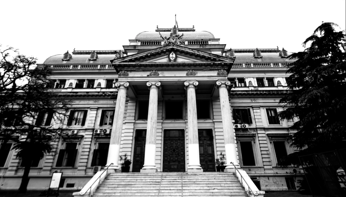 Las ratas invadieron Diputados bonaerense: edificio cerrado por desinfección