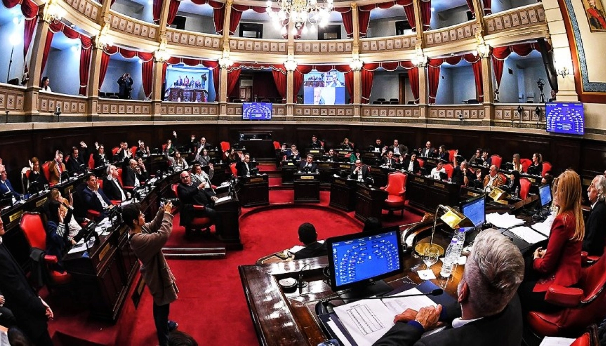 Senadores libertarios pidieron volver a votar las reelecciones indefinidas por un gris en el reglamento