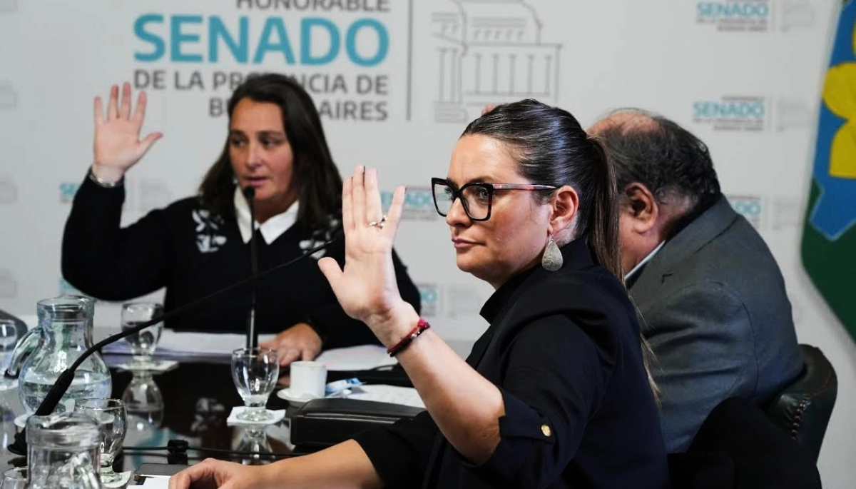 El Senado bonaerense avanza con un proyecto destinado a proteger el empleo para personas discapacitadas