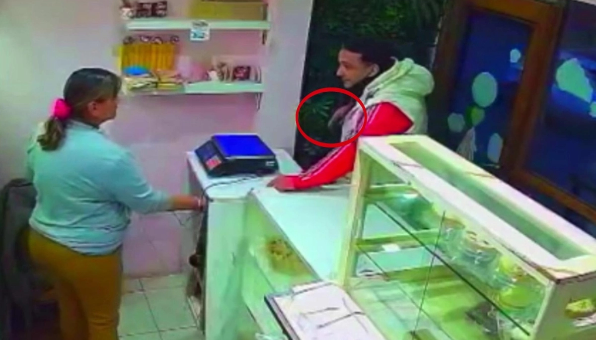 Aprovechó que en Merlo no hay vigilantes y robó la recaudación de una panadería