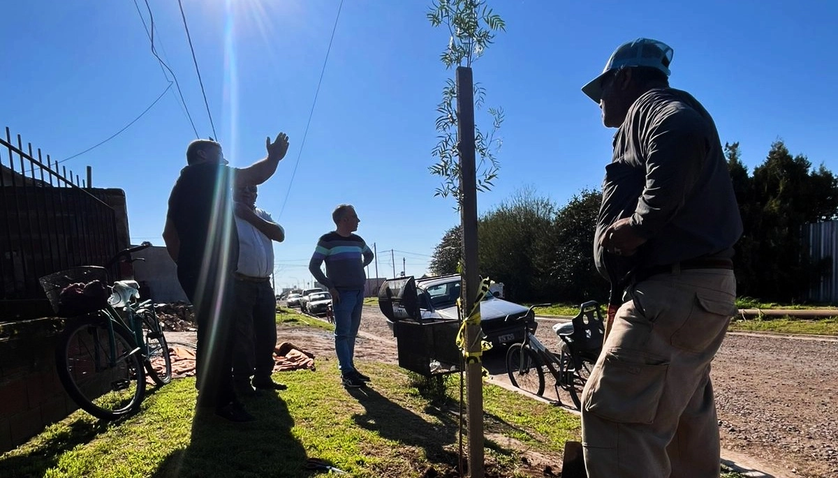 General Arenales presentó nuevas plantaciones de árboles en veredas para el crecimiento urbano