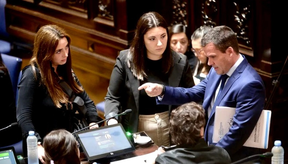 El PRO juega solo en la Legislatura, pero no se despega de Milei en la Provincia