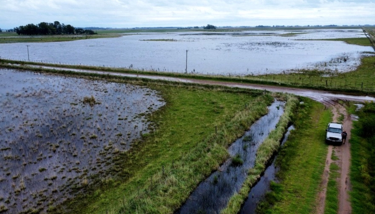 En el campo bonaerense, el agua no afloja: prorrogan la emergencia agropecuaria en el corazón de la Provincia