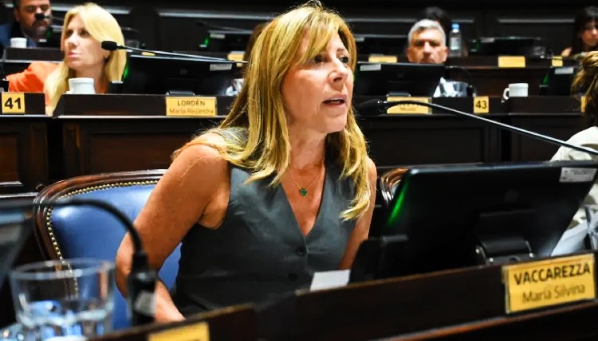 Vaccarezza tildó de “manotazo de ahogado” la quita de retenciones y habló del frágil programa económico de Milei
