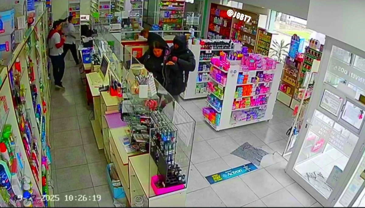 Una clienta encabezó la resistencia y enfrentó al ladrón de una farmacia de Mar del Plata