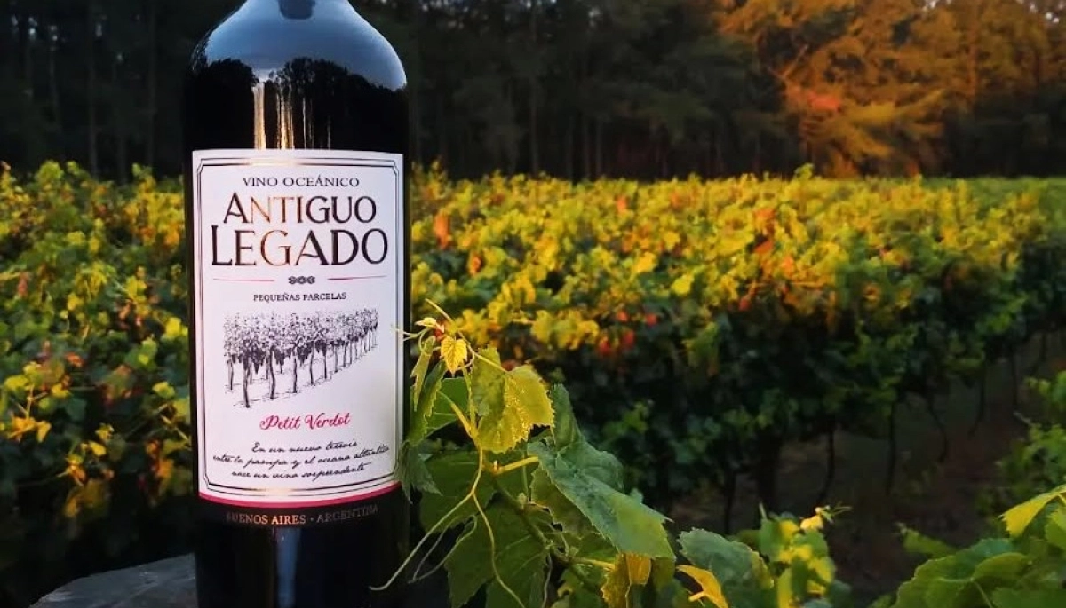 Destinos bonaerenses: Madariaga y Mercedes sacan botellas de la tierra con vinos de primer nivel