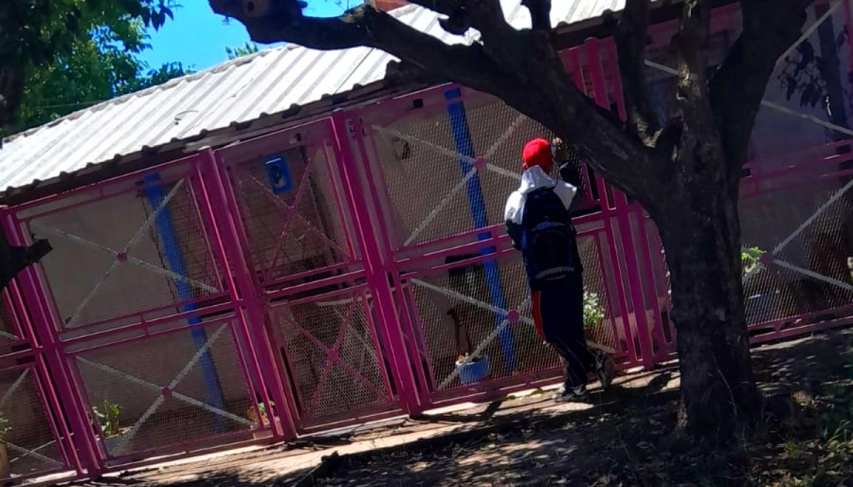 Salió de la casa para hacer unas compras y un ratero la emboscó antes de cruzar la calle