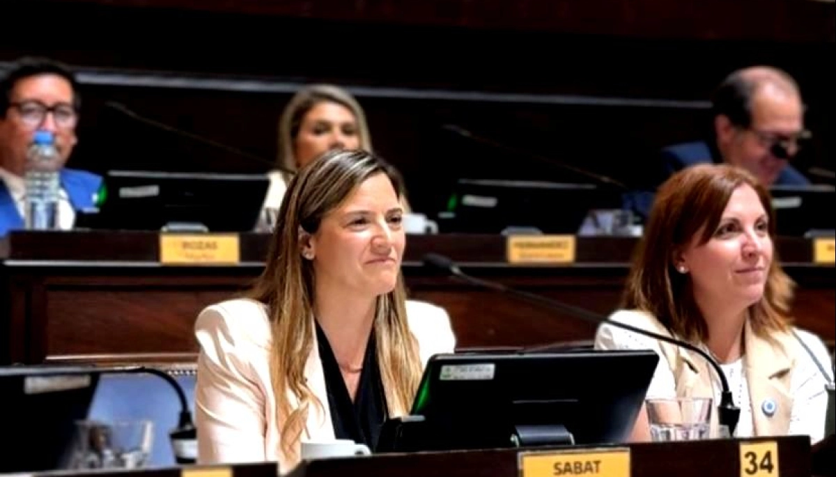 La diputada Sabat volvió a reclamar el tratamiento del proyecto de emergencia por los caminos rurales