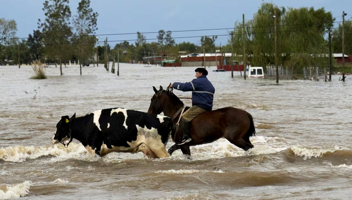 Bajo agua y sin salida: CARBAP volvió a presionar por la crisis vial rural