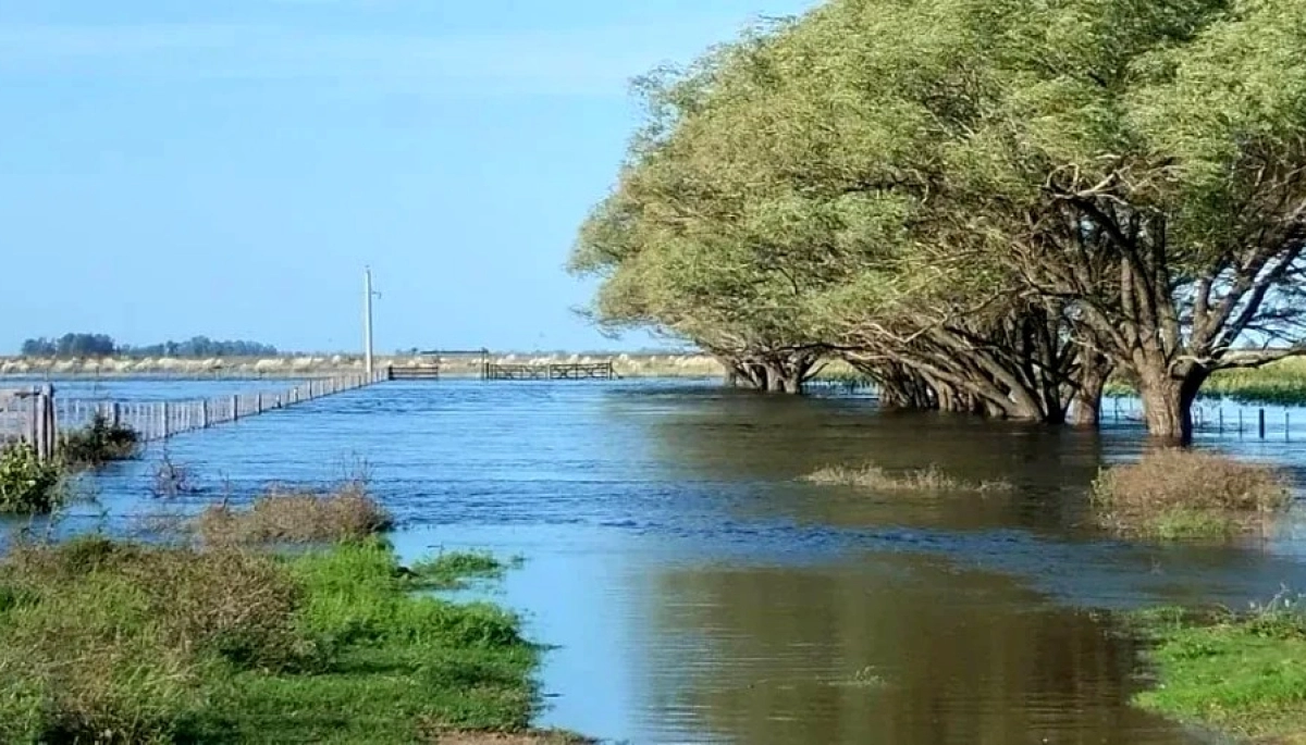 Emergencia agropecuaria: libertarios exigen a Kicillof detalles sobre la crisis rural