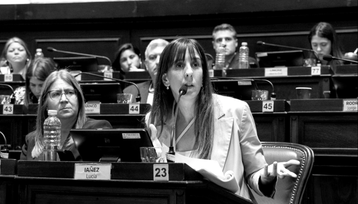 Cruces y reproches en el peronismo: diputados de La Cámpora enojados con la kicillofista Lucía Iañez