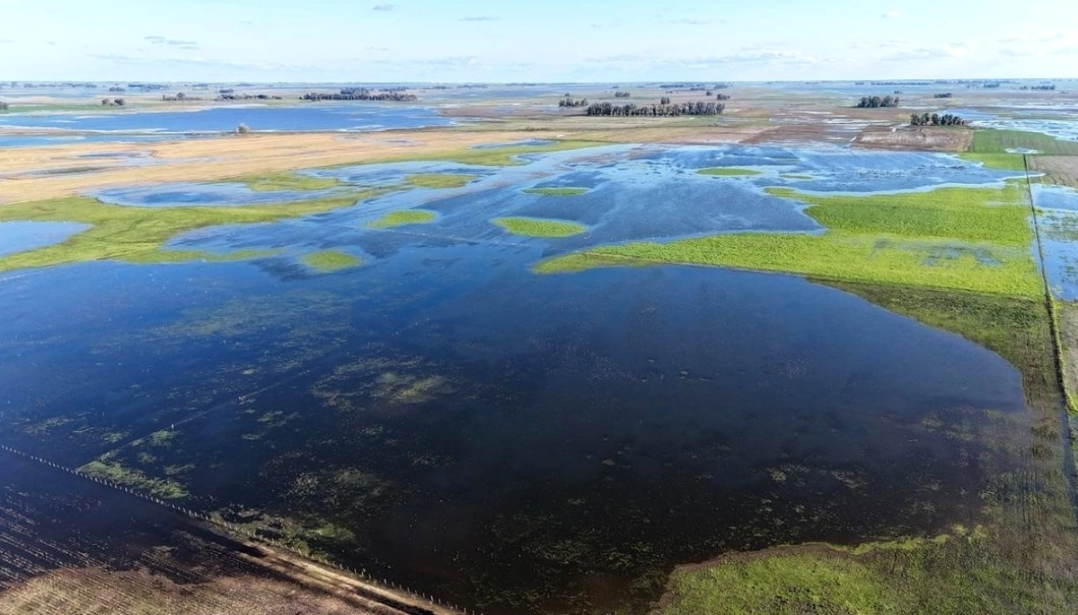 Inundaciones rurales: Nación giró más de $1.046 millones a municipios bonaerenses