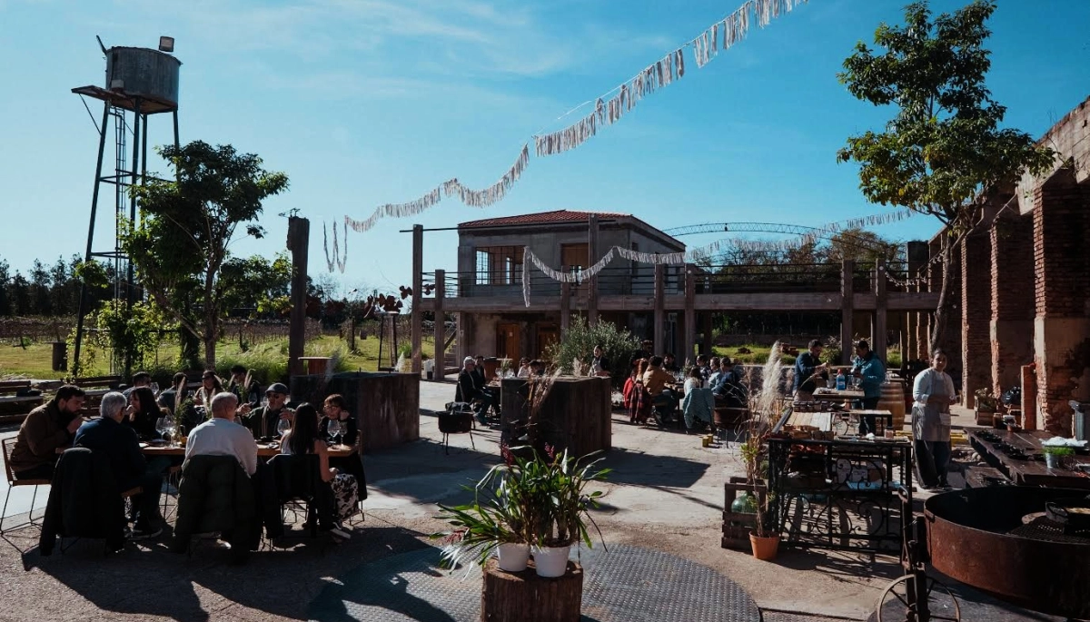 Destinos bonaerenses: Delta, Mercedes, Las Flores y Brandsen ofrecen vinos de primera para fin de año