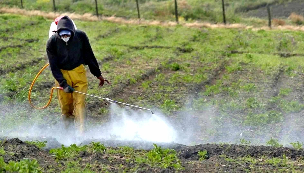 Por decisión de la Corte bonaerense, dos municipios deberán frenar la fumigación con agroquímicos