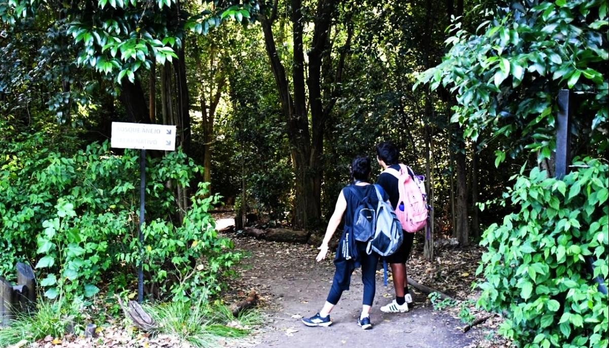 Morón abre las puertas de sus Reservas Naturales para una propuesta ambiental veraniega