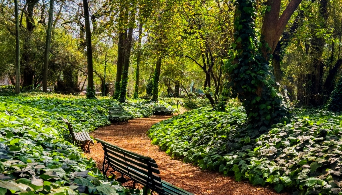 Verano y ola de calor en CABA: cómo funcionan los refugios climáticos y dónde encontrarlos
