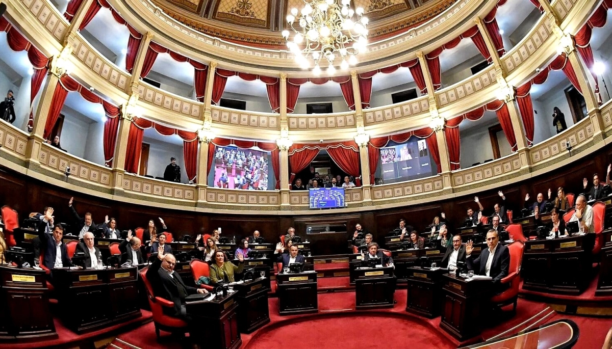 Abusos en el Senado: un sector del peronismo presiona por un pronunciamiento