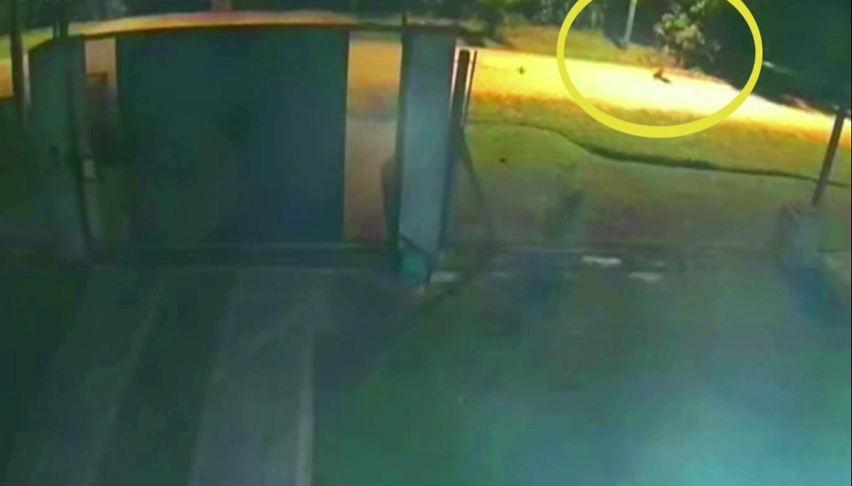 Conmoción en Ezeiza: joven madre fue asesinada a traición con múltiples puñaladas