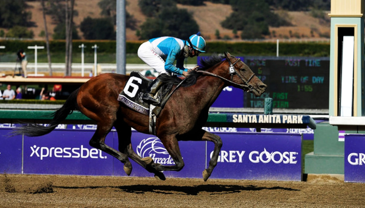 Más de $200 millones en juego en el Clásico Calidoscopio: la gran atracción del Hipódromo de San Isidro