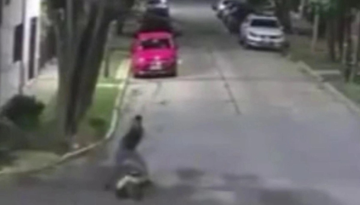 Patada voladora y robo: mujer sufrió un criminal ataque por la espalda y el arrebato de las pertenencias