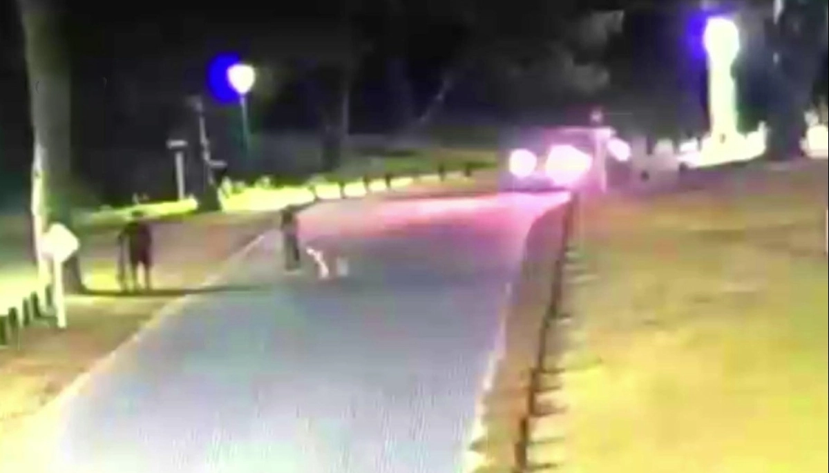 Investigan un incidente vial que acabó con la muerte de una mujer en Villa Gesell