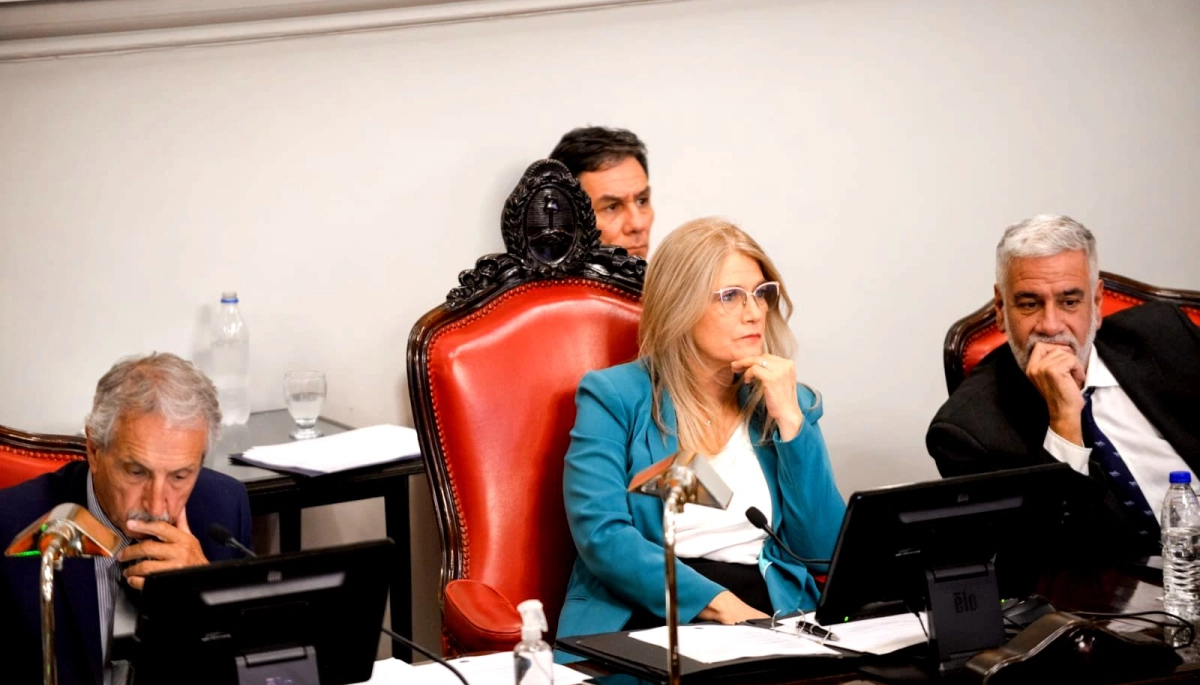 Con el suspenso por la conformación de comisiones, el Senado bonaerense se volverá a activar