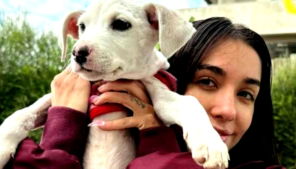 Amor animal: el gesto de María Becerra con un cachorro que emocionó a todos