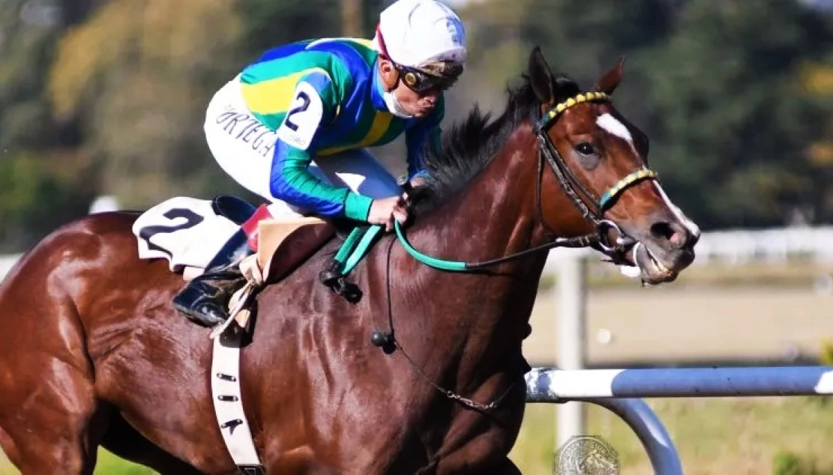 El Hipódromo de San Isidro se prepara para el Especial Rico con más de $160 millones en pozos acumulados