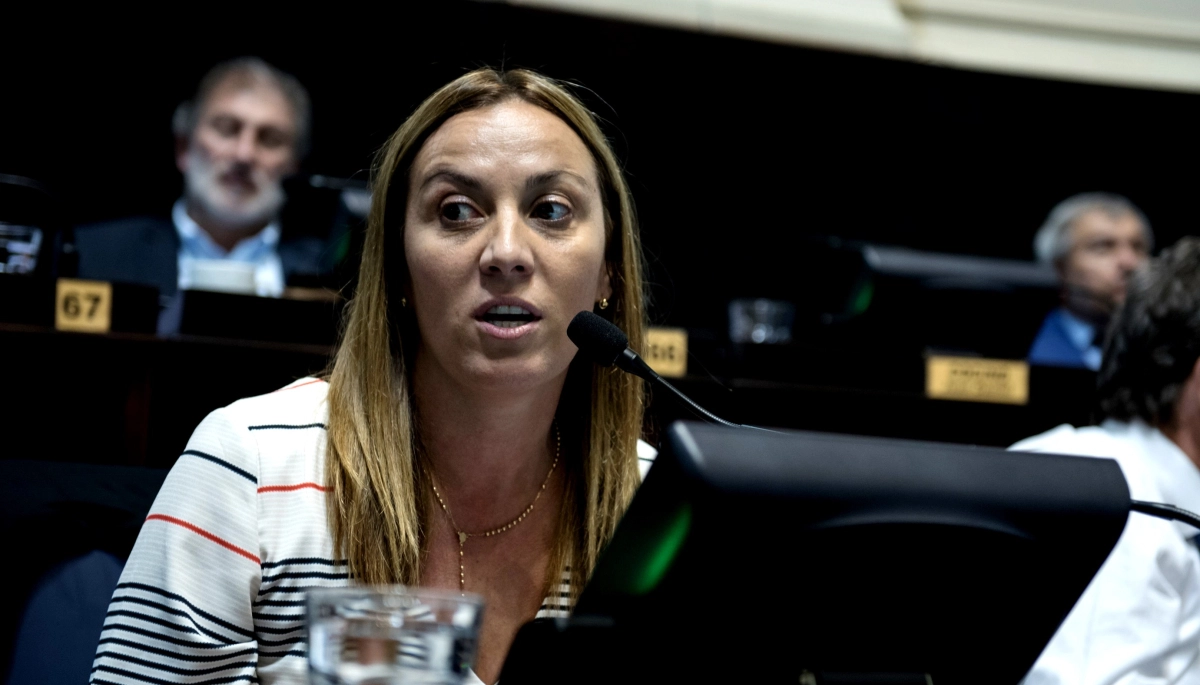 El ajuste al Servicio Meteorológico Nacional generó preocupación en el Senado bonaerense