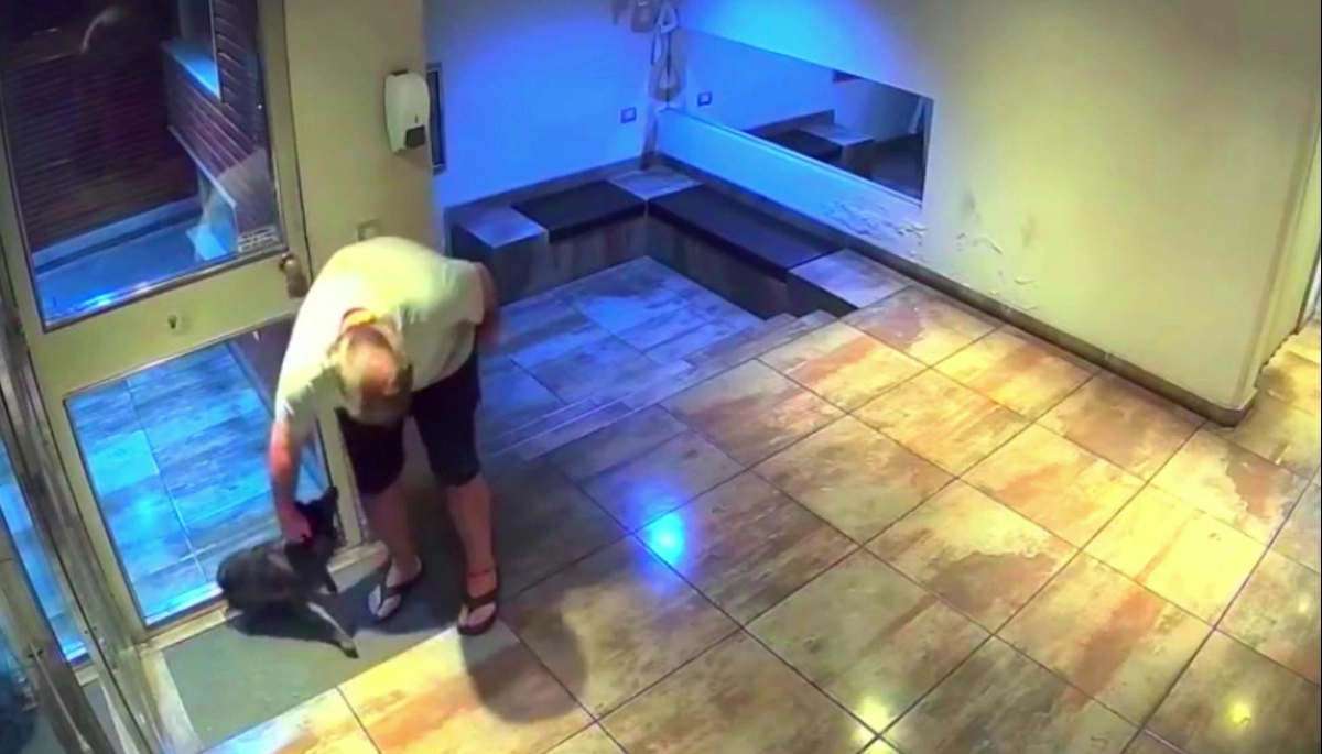 Lo peor de la raza humana: levantó al perro 2 metros y lo arrojó al suelo con furia