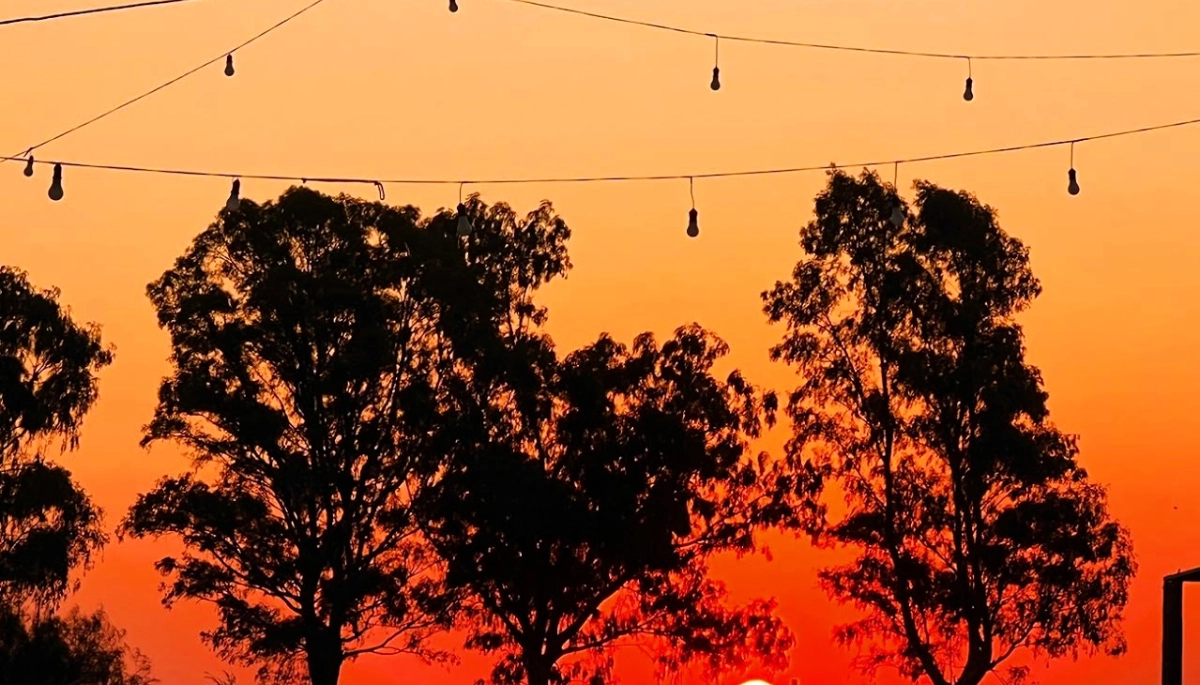 Destinos bonaerenses: la Niña, la Isla Martín García y Beruti, las tres grandes opciones para el próximo finde largo