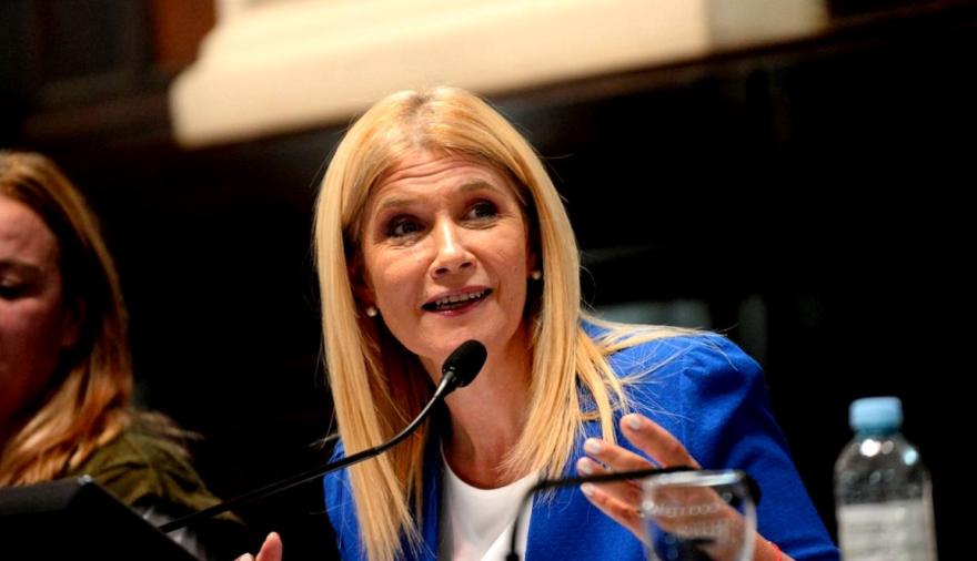 Con datos alarmantes: Magario condenó el “vaciamiento” y la “destrucción” de Milei a la educación pública