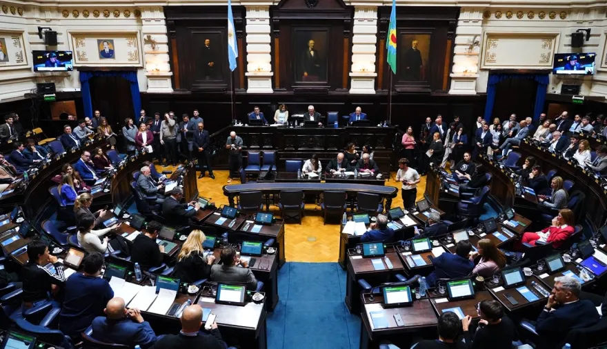 Diputados bonaerenses: avanza una ley para fortalecer derechos de personas con síndrome de Down