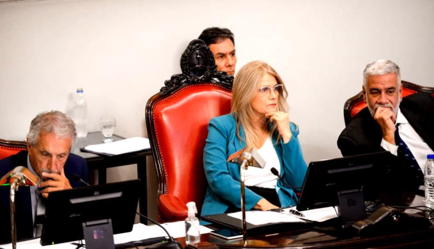 Con puntos llamativos, el Senado bonaerense definió las comisiones