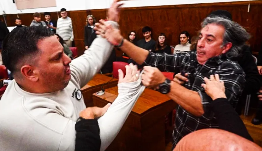 Piñas, insultos y suspensión: escándalo en el Concejo Deliberante de Mar del Plata