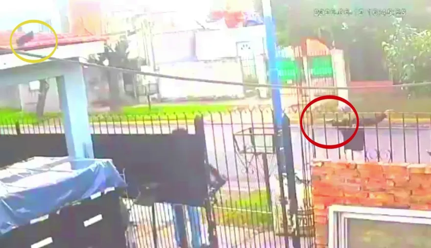 Quiere ser gobernadora y no puede detener a los motochorros en Moreno