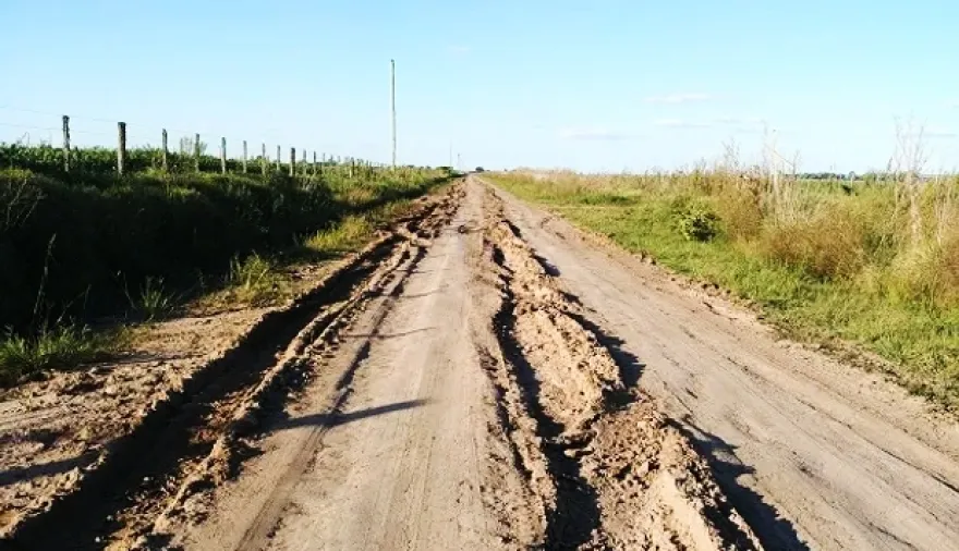 Proponen destinar el 65% del Impuesto Inmobiliario Rural a la mejora de caminos bonaerenses