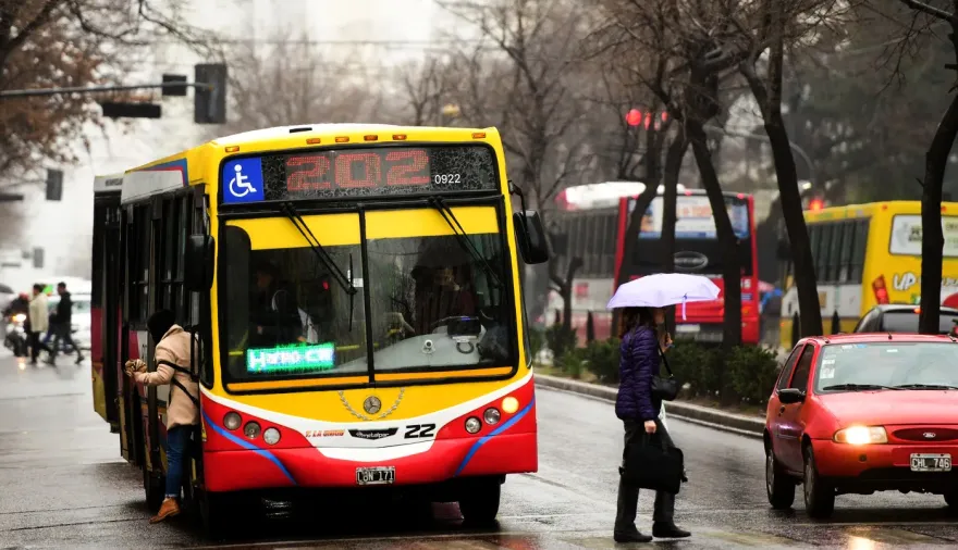 Aumentos en los colectivos de La Plata: cuánto valdrá el boleto a partir del 1° de julio
