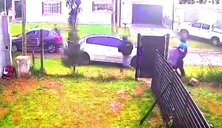 Una banda de pirañas atacó a una pareja en Mar del Plata