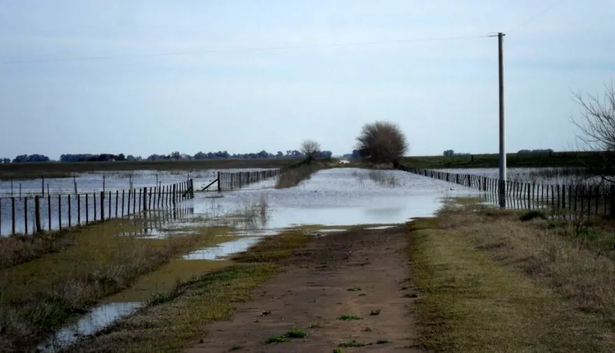 9 de Julio: el campo corre al municipio y avanza con un proyecto por el estado de los caminos rurales