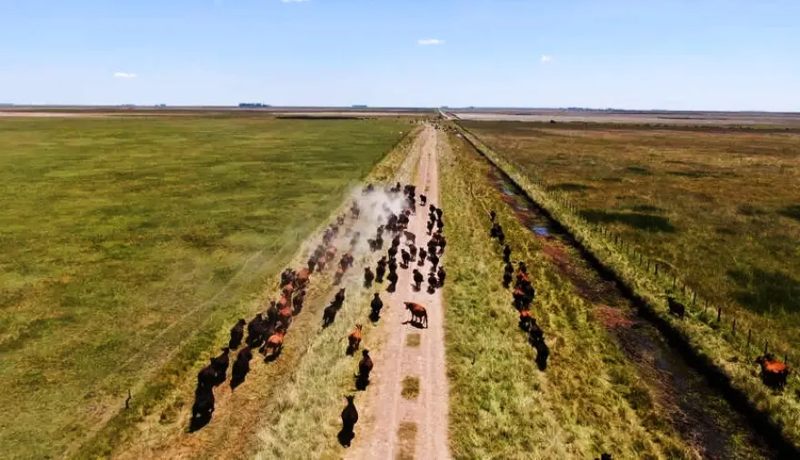 Un informe ubicó al municipio de Pila entre las ciudades bonaerenses líderes del Interior Agropecuario