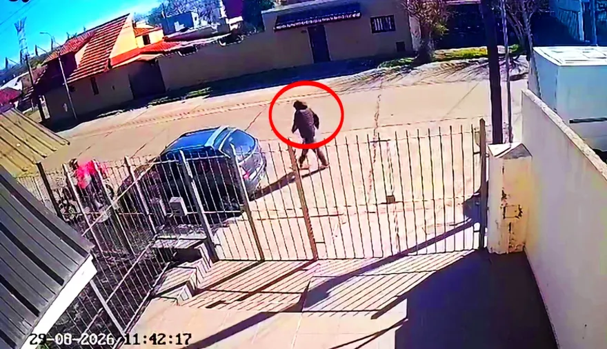 Otra vez Mar del Plata: entregó un pedido y ladrones armados le robaron la moto
