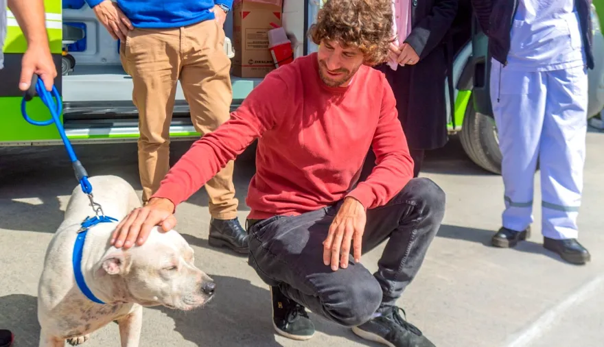San Fernando le pone freno a la venta de mascotas en comercios