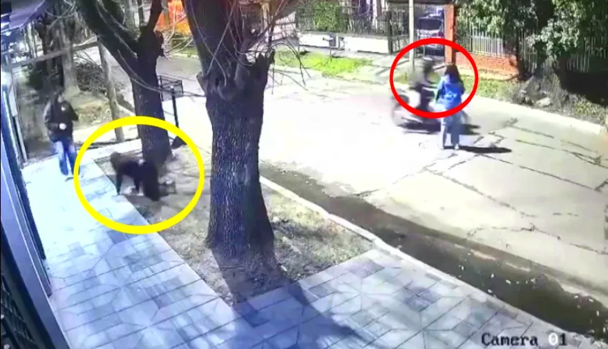 Robo automotor en Merlo: motochorros le arruinaron la noche a un grupo de amigas
