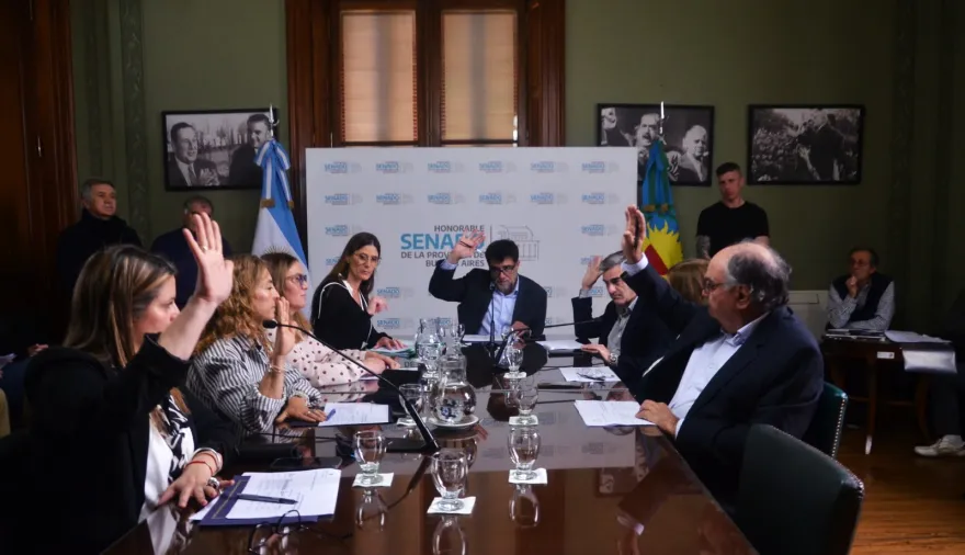 Avanza en el Senado bonaerense un proyecto para impulsar la olivicultura en el sudoeste