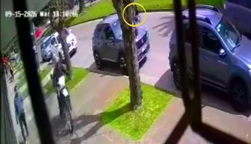 Paciente motochorro paró en doble fila y de manera increíble robó una cartera en Mar del Plata